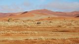Fotogalerie: Quer durch Afrika - Bild 2