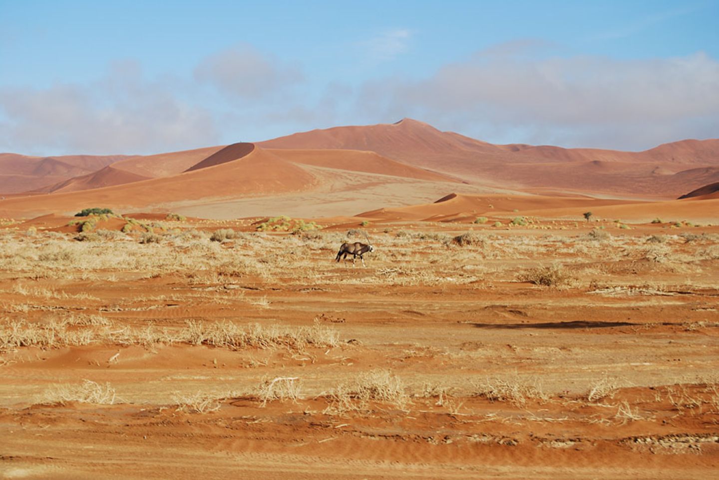Fotogalerie: Quer durch Afrika - Bild 2