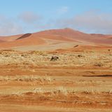 Fotogalerie: Quer durch Afrika - Bild 2