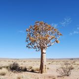 Fotogalerie: Quer durch Afrika - Bild 3