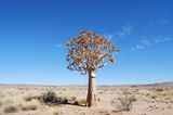 Fotogalerie: Quer durch Afrika - Bild 3
