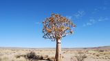 Fotogalerie: Quer durch Afrika - Bild 3