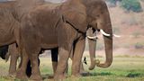 Fotogalerie: Quer durch Afrika - Bild 4