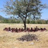 Fotogalerie: Quer durch Afrika - Bild 5