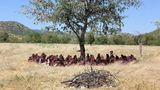 Fotogalerie: Quer durch Afrika - Bild 5
