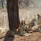 Fotogalerie: Quer durch Afrika - Bild 7