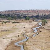 Fotogalerie: Quer durch Afrika - Bild 9