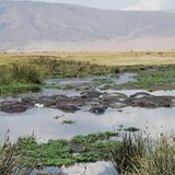 Fotogalerie: Quer durch Afrika - Bild 10