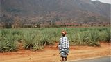 Fotogalerie: Quer durch Afrika - Bild 11