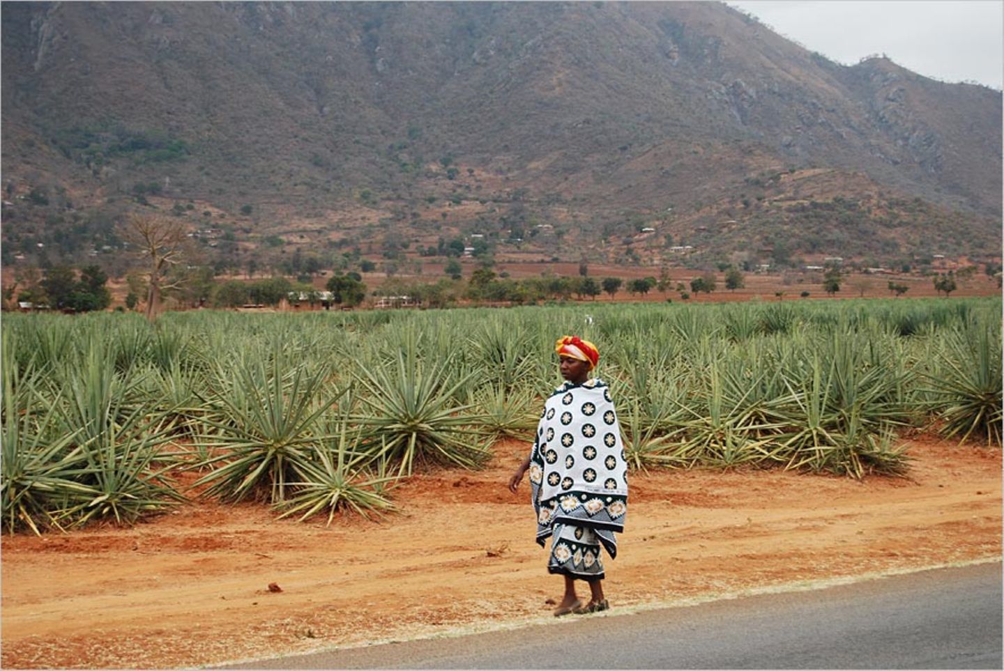 Fotogalerie: Quer durch Afrika - Bild 11