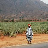 Fotogalerie: Quer durch Afrika - Bild 11
