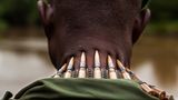 Demokratische Republik Kongo: Virunga in Gefahr - Bild 3
