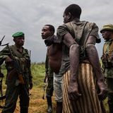 Demokratische Republik Kongo: Virunga in Gefahr - Bild 7