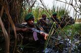 Demokratische Republik Kongo: Virunga in Gefahr - Bild 9