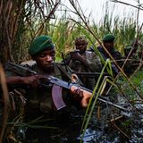 Demokratische Republik Kongo: Virunga in Gefahr - Bild 9