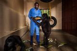 Demokratische Republik Kongo: Virunga in Gefahr - Bild 10