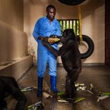 Demokratische Republik Kongo: Virunga in Gefahr - Bild 10