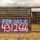 Fotogalerie: America - Bild 7