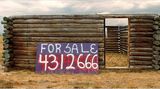 Fotogalerie: America - Bild 7
