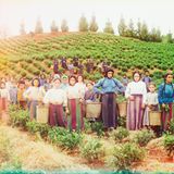 Fotogalerie: Fotogalerie: Nostalgisches Russland - Bild 10