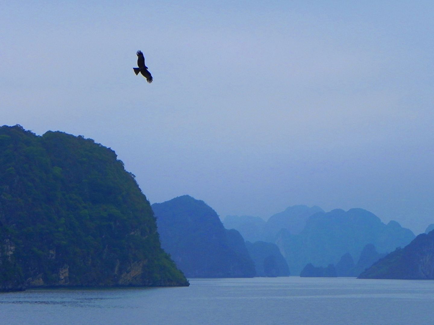 Vietnam