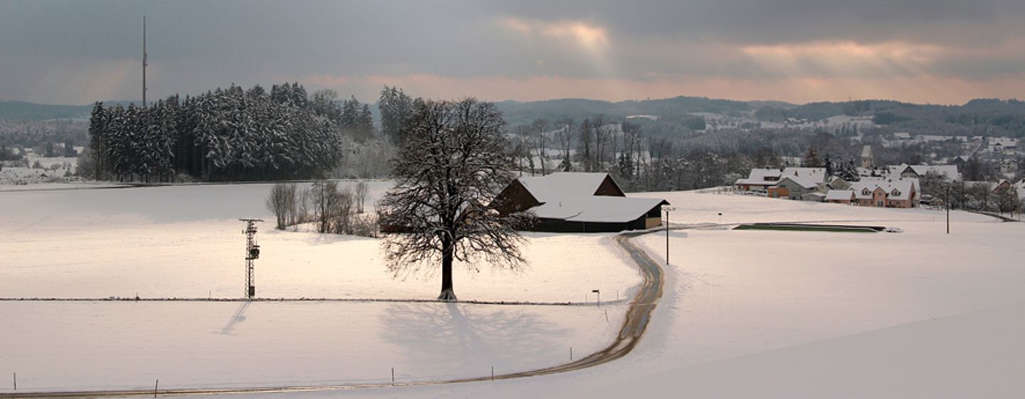 Winter