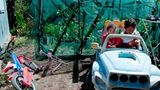 Fotogalerie: Mit dem Briefträger durch La Réunion - Bild 3