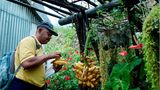Fotogalerie: Mit dem Briefträger durch La Réunion - Bild 5
