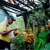 Fotogalerie: Mit dem Briefträger durch La Réunion - Bild 5