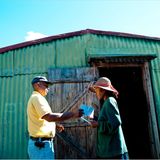 Fotogalerie: Mit dem Briefträger durch La Réunion - Bild 7