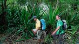Fotogalerie: Mit dem Briefträger durch La Réunion - Bild 11