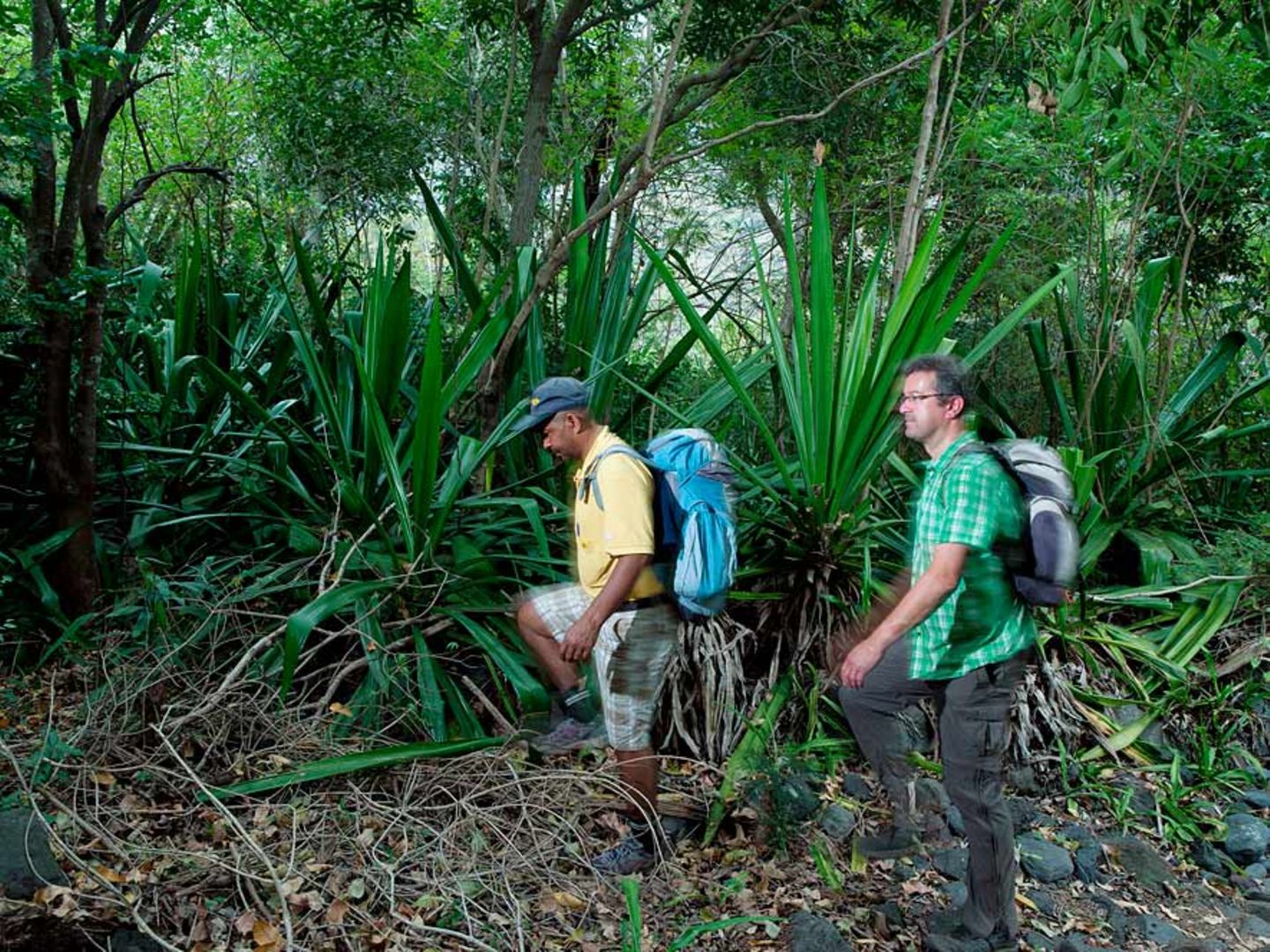 Fotogalerie: Mit dem Briefträger durch La Réunion - Bild 11