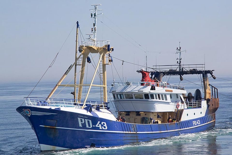 Fotogalerie: Nachhaltiger Fischfang