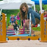 Kaninchenturnier: Auf die Pfoten, fertig, hopp! - Bild 2