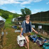 Kaninchenturnier: Auf die Pfoten, fertig, hopp! - Bild 3