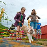 Kaninchenturnier: Auf die Pfoten, fertig, hopp! - Bild 4