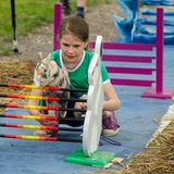 Kaninchenturnier: Auf die Pfoten, fertig, hopp! - Bild 8