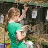 Kaninchenturnier: Auf die Pfoten, fertig, hopp! - Bild 13