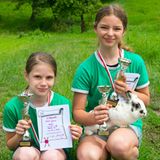 Kaninchenturnier: Auf die Pfoten, fertig, hopp! - Bild 14