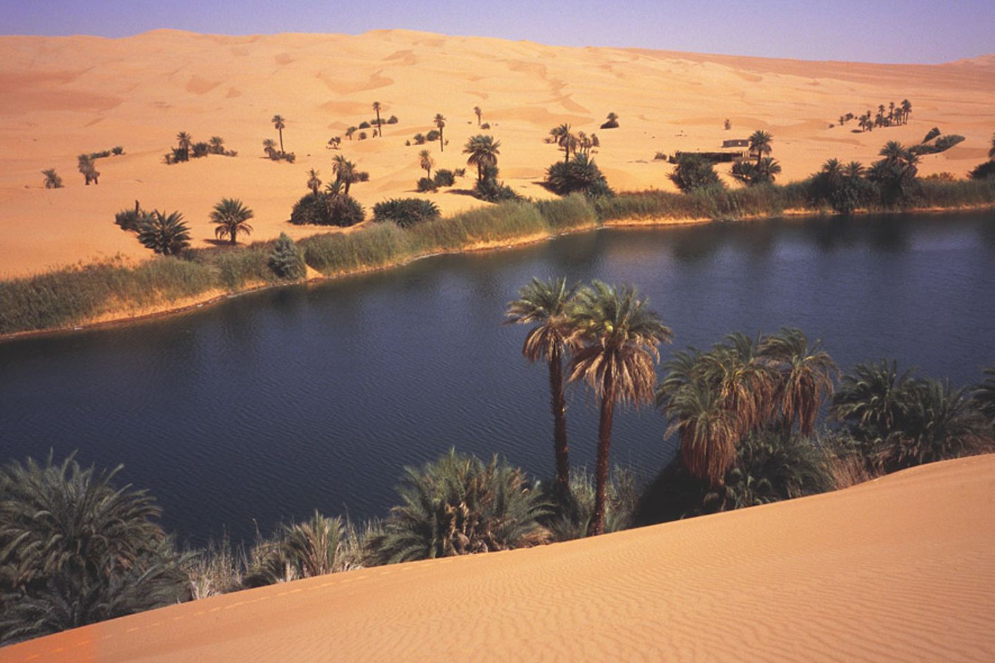 Wüsten-Gewässer