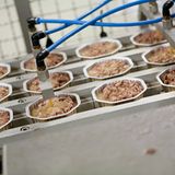 Tiernahrung: Es ist angerichtet!