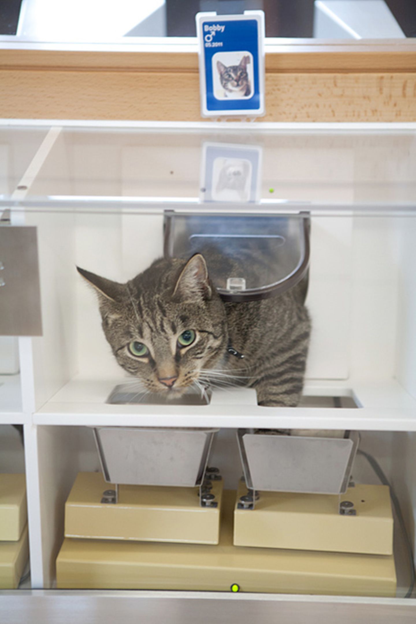 Tiernahrung: Es ist angerichtet! - Bild 2