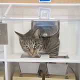 Tiernahrung: Es ist angerichtet! - Bild 2