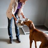 Tiernahrung: Es ist angerichtet! - Bild 3