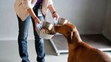 Tiernahrung: Es ist angerichtet! - Bild 3