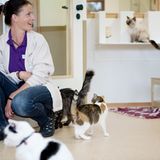 Tiernahrung: Es ist angerichtet! - Bild 5