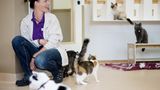Tiernahrung: Es ist angerichtet! - Bild 5