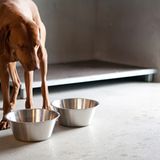 Tiernahrung: Es ist angerichtet! - Bild 6