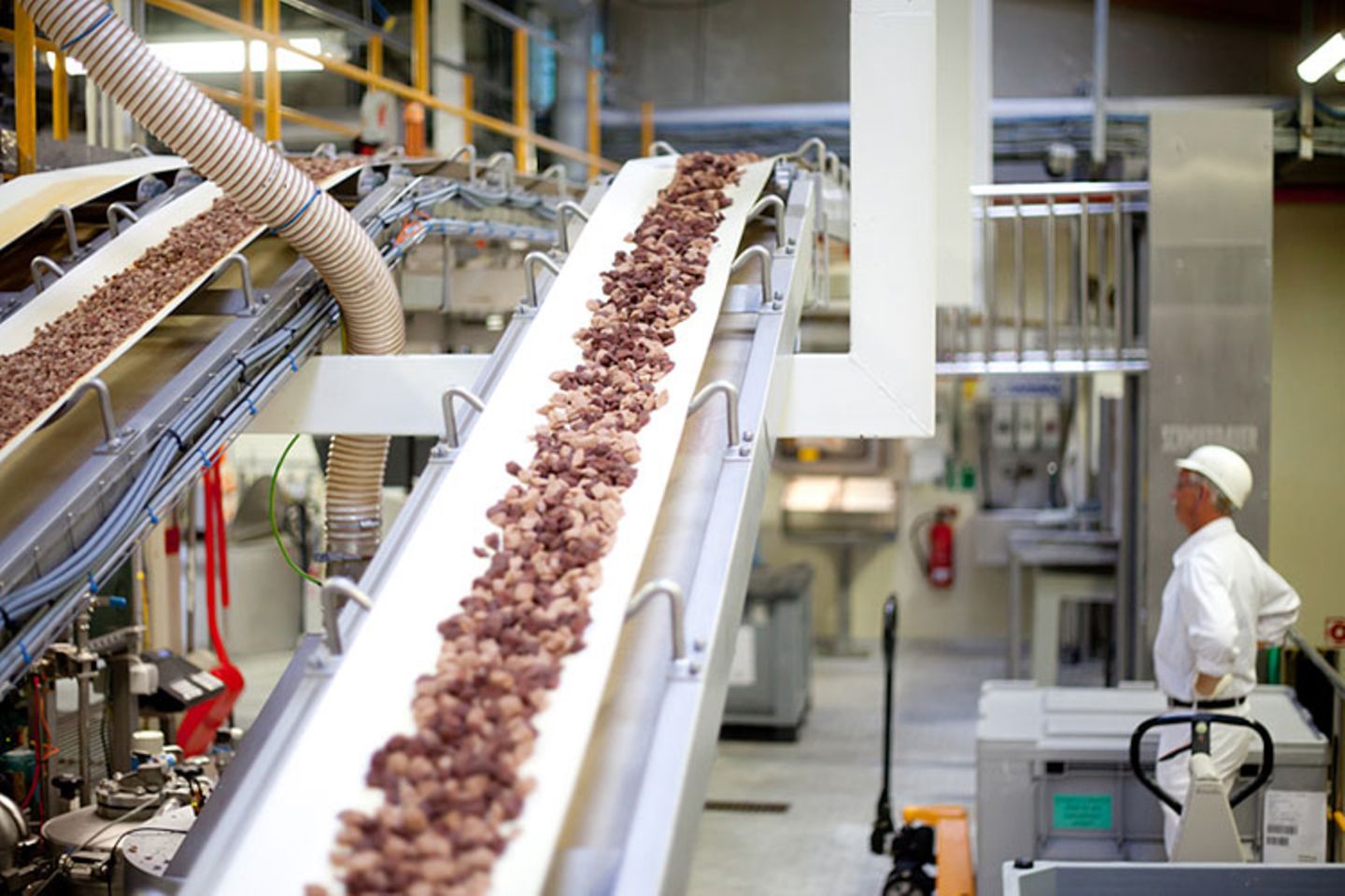 Tiernahrung: Es ist angerichtet! - Bild 12