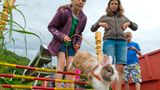 Kaninchenturnier: Auf die Pfoten, fertig, hopp! - Bild 4